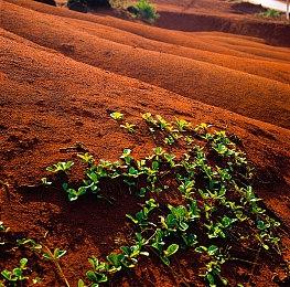《怪物猎人：荒野》PC性能测试工具上线 提前测试性能指标